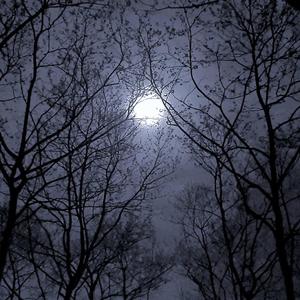 getoffmyd! (feat. Cyn, G$, Tyrell Artis & Suicide Ru)