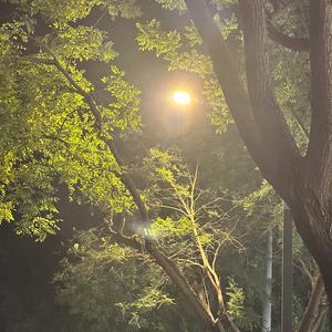 我们再见会是哪年哪月哪一天