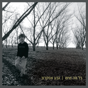 פעם רציתי פחות