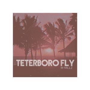 Teterboro Fly