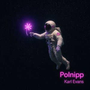 Intro Polnipp