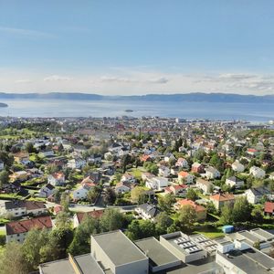 断送青春爱错人