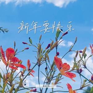 新年要快乐（Guitar ver.）