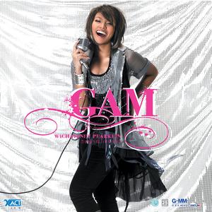 ใบไม้ (feat. VieTrio)