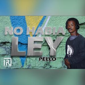 No habia Ley (Pello)
