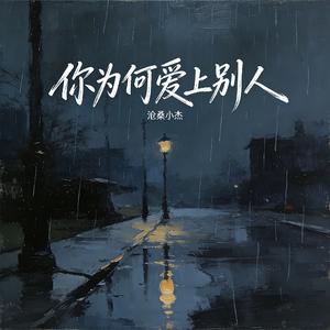 你为何爱上别人
