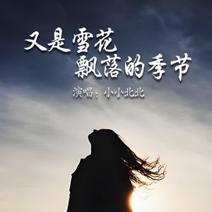 又是雪花飘落的季节