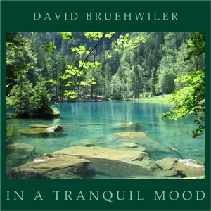 In a Tranquil Mood