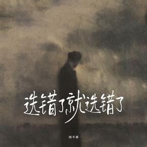 选错了就选错了（烟嗓男声）