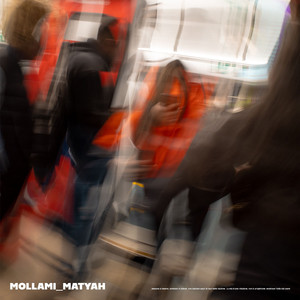 Mollami
