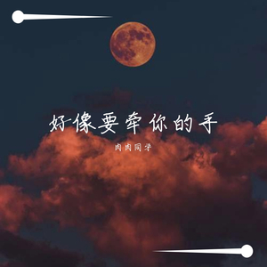 好想要牵你的手