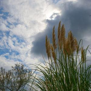 出岔河发发疙疙瘩瘩