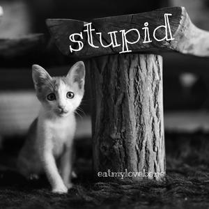 stupid