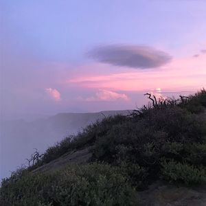 喝咖啡下午茶场景舒缓的背景故事音乐 - 古筝