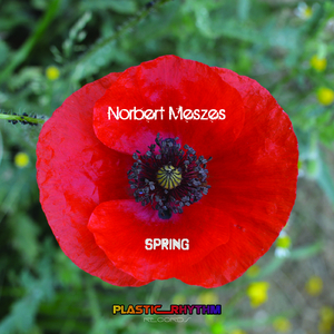 Spring (Original Mix)