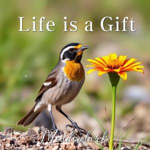 Life is a Gift