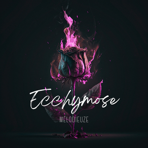 Ecchymose