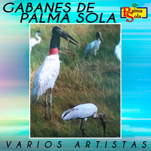 El Gabán Acomodao