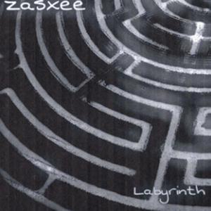 Labyrinth (feat. zasxee) (8D Audio)