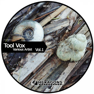 Decepciones (Original Mix)