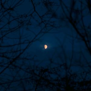 《落星时见你》