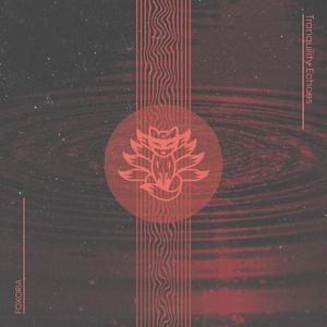 Echoes of the Soul (528Hz Deep Healing)