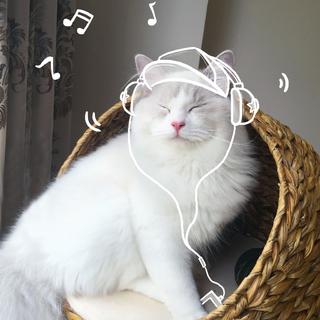 海的味道泡面知道BGM