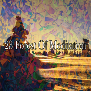 蓋亞斯生命給予的呼吸