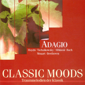 6 Pieces for Violin and Organ, Op. 150: 6 Pieces for Violin and Organ, Op. 150: IV. Elegie