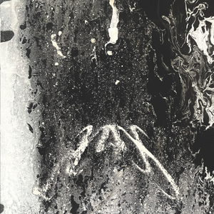 Conformal Invariance