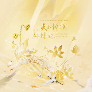 天上掉下个林妹妹