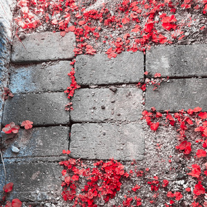 砂を噛んで生きる君へ (20251122)