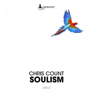 Soulism (Ange Siddhar Remix)