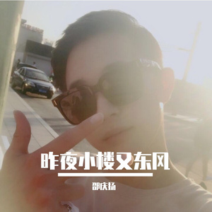 昨夜小楼又东风