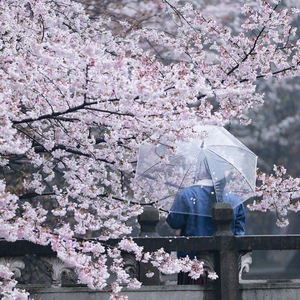 当你孤单你会想起谁