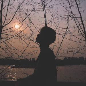 像鱼-房东的猫-1286311541