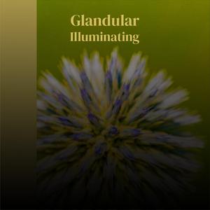 Glandular Illuminating