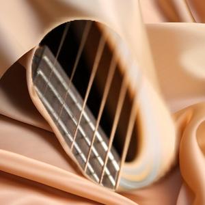 Simplis (DxP Special Version)