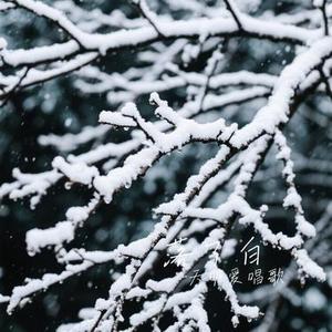 落了白（Cover 蒋雪儿Snow.J）