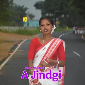 A Jindgi