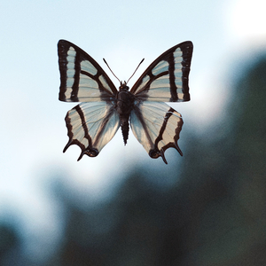与地球的单独约会