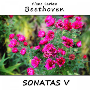 Sonata No. 7 in D Major, Op. 10 (No. 3): III Menuetto, Trio Allegro