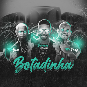 Botadinha (feat. Mr Bim & Mc Frog) (Remix)