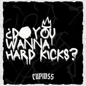¿DO YOU WANNA HARD KICKS?