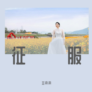 征服