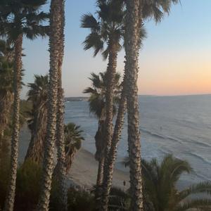 754 (feat. Molly Rose)