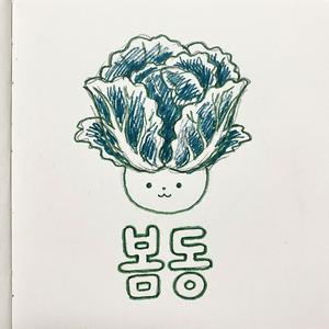 봄동(Spring Cabbage)