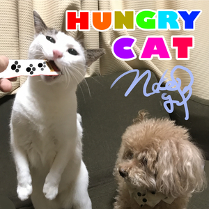 Hungry Cat