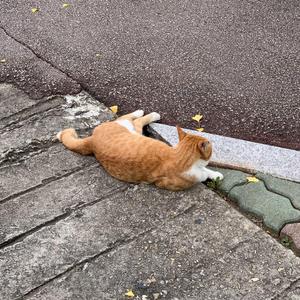 끝이라고 말하지 마(Feat. 李维特特特)