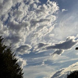 プィっていいね